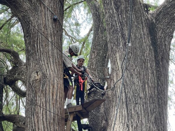 BD21ED8D-8A7F-4481-B6F4-6D1D59EED8E5