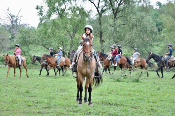 PHOTO-2022-01-27-15-14-27